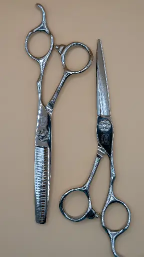 [MY-95] SET TIJERAS PLATEADAS WAHL 6¨